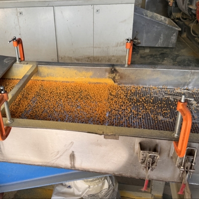 Máquina de granulação de espuma XPE para pelletizar polietileno cruzado XLPE EVA